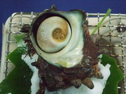 サザエの壺焼き