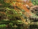 山吹水源