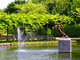 香りの公園 