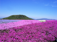 休暇村茶臼山高原パンフレット