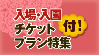 入場券・入園券つき宿泊プラン