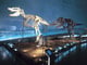 福井県立恐竜博物館
