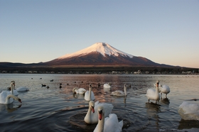 ~貸切バスで富士山をぐるっと一周~