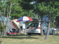 キャンプ場