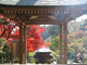 第82番札所　根香寺
