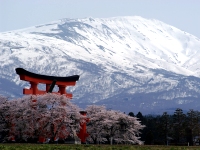 羽黒町全体観光マップ