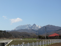 ウォーキングコース