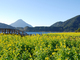 池田湖