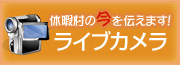 休暇村の今を伝えます！ライブカメラ
