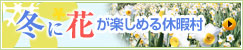 冬に花が楽しめる休暇村