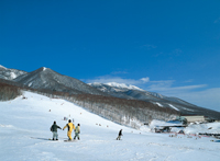 網張温泉スキー場2011-2012