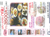 レディースプランパンフレット（通年）
