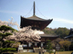 根来寺