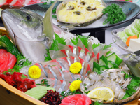 初夏の料理チラシ