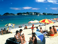 夏といったら海だ！