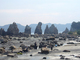 橋杭岩