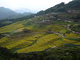 丸山千枚田