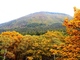 村上山