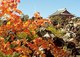 鬼押出し園