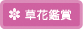草花観賞