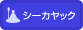 シーカヤック
