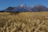 休暇村妙高近郊地図