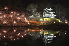 日本3大夜桜 高田城址公園「百万人観桜会」夜桜ライナー