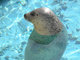 上越市立水族博物館