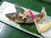 岩魚の塩焼き