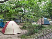 キャンプ場