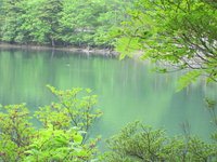 ウォーキングコース
