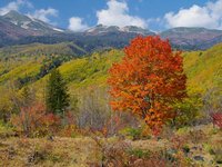 9~10月 信州紅葉便り