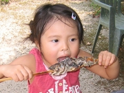 つかみ取りで取った岩魚を塩焼きに