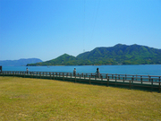キャンプ場　風景