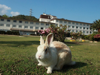 休暇村大久野島