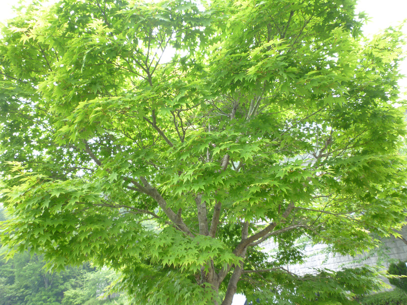 休暇村近江八幡