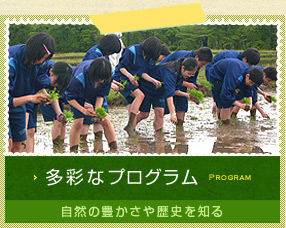 多彩なプログラム 自然の豊かさや歴史を知る