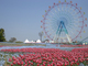 海の中道海浜公園