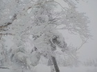 2015/01/17