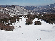 かもしかコース