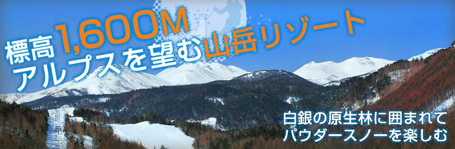 19歳はリフト券無料！！