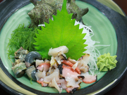 さざえの刺身