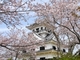 城山公園（椿・梅・桜・ツツジ）