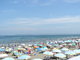 海水浴情報 『波左間海水浴場』