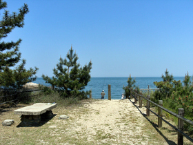 海まで1分！緑がまぶしいキャンプ場