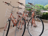 レンタサイクル