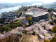 大宝山　権現院　千光寺