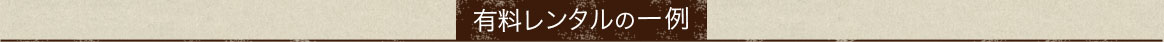 有料レンタルの一例