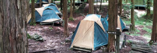 チャウシカの森 キャンプ場高原の林間は夏でも涼しい茶臼山でキャンプデビュー!!