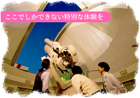 ここでしかできない特別な体験を